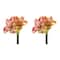 Coral Pink Amaryllis Flower Stems, 2ct.